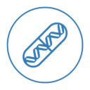 farmacogenomica farmacogenomica